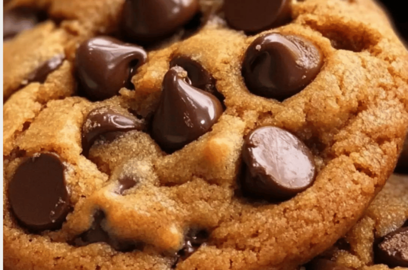 Pumpkin Chocolate Chip Cookies